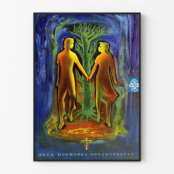 Artistic Poster of Two Gonadotropic Hormones – Vintage Wall Decoration
