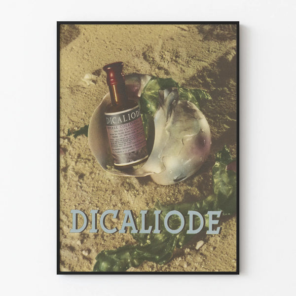 Vintage poster of Dicaliode bottle on sandy background with seaweed