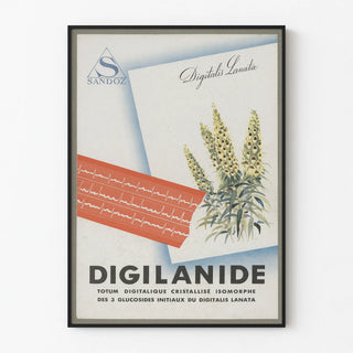 Vintage poster Digilanide Digitalis Lanata Sandoz