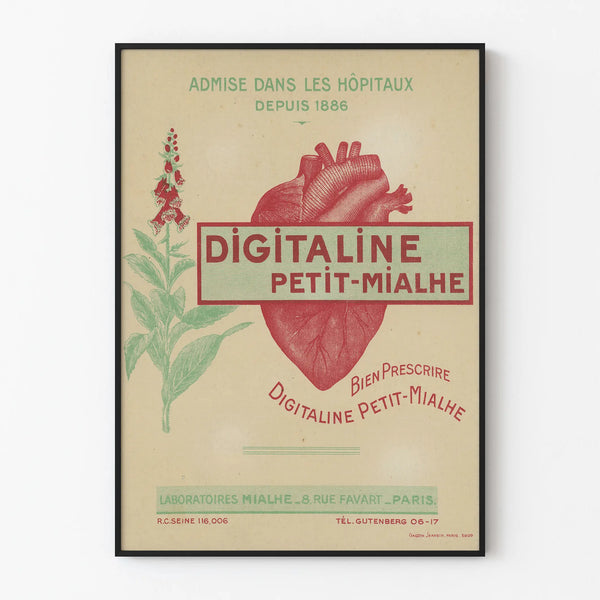 Vintage Digitaline Poster Petit-Mialhe Wall Decoration Medical