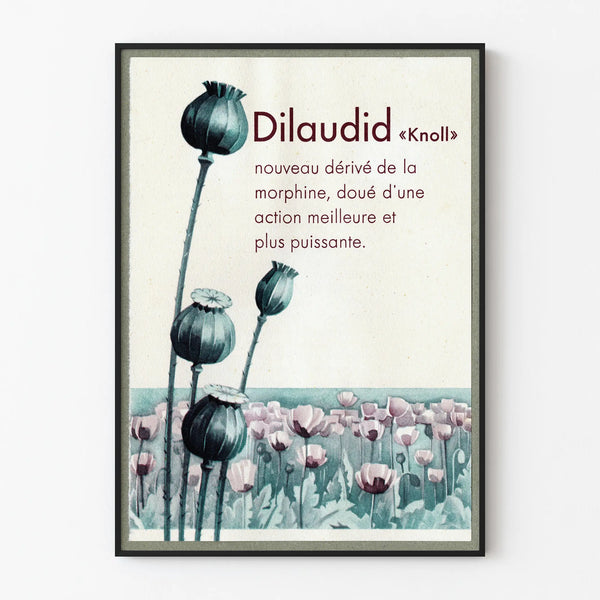 Vintage poster Dilaudid Knoll - Botanical wall decoration