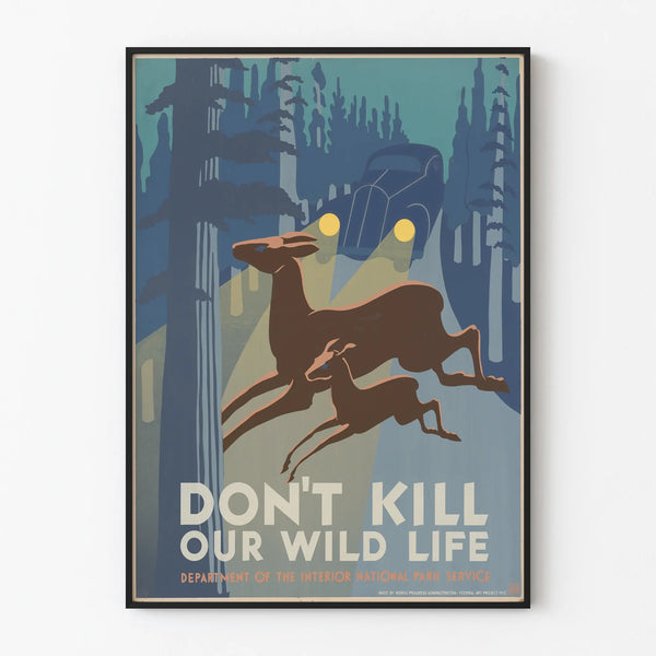 Vintage Poster Protecting Wildlife - Don't Kill Our Wild Life
