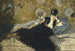 Woman with Fans - Édouard Manet — artwork view