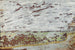Les Bords de la Touques Pont-l'Évêque - Édouard Vuillard — artwork view