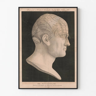 Wall Poster of Phrenology Anatomy by Dr. Spurzheim