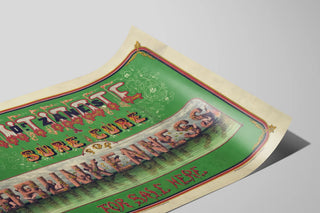 Poster Dr Zane's Antidote - Effective cure for drunkenness — artwork view