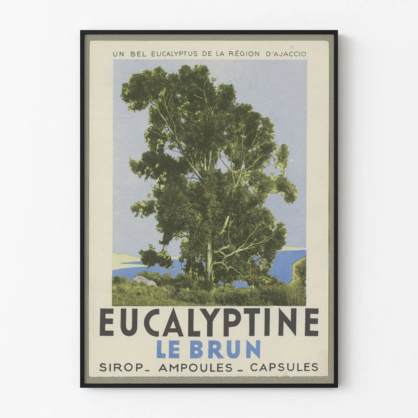 Vintage poster Eucalyptine Le Brun - Nature wall decoration