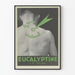 Vintage Eucalyptus Poster Le Brun for Alarm Zone Relief