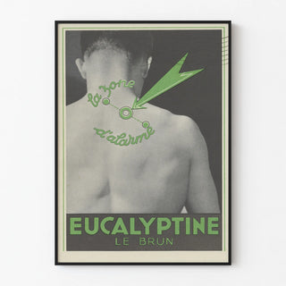Vintage Eucalyptus Poster Le Brun for Alarm Zone Relief