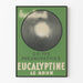Vintage Medical Poster Eucalyptine Le Brun