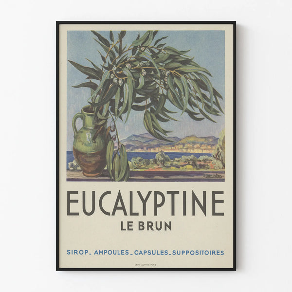 Vintage poster Eucalyptine Le Brun botanical wall decoration