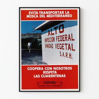 Awareness Poster for the Fight Against the Mediterranean Fruit Fly
