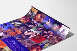 Evolution Poster: Journey Through the Origin and Future of Life
