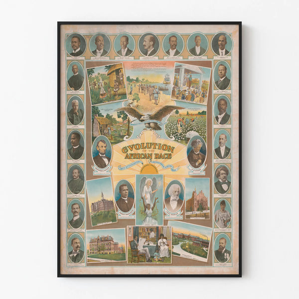 Wall Decoration Poster Evolution of the African Race
