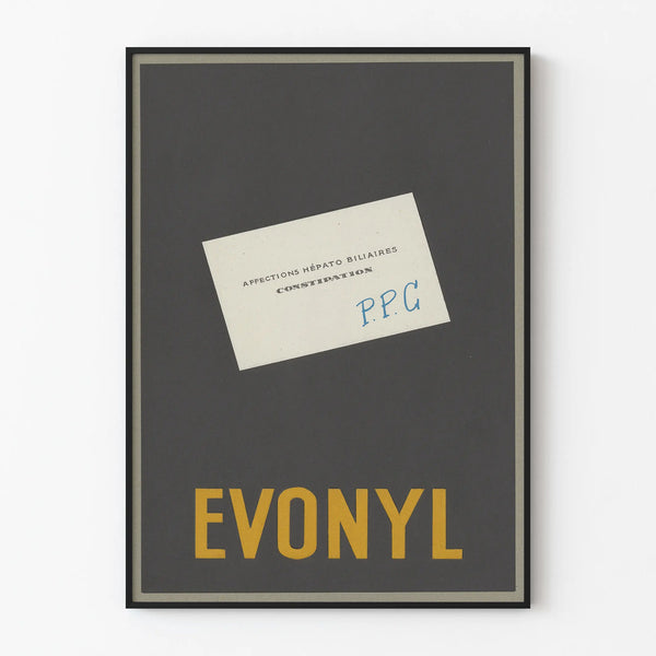 Vintage Advertising Poster EVONYL Wall Decoration Retro