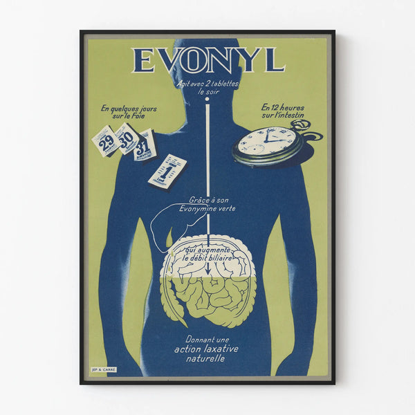Vintage Illustration Poster Anatomical Evonyl Wall Decoration Health