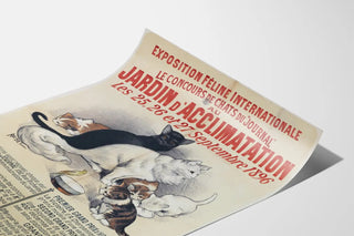 Vintage poster for the international feline exhibition at the Jardin d'Acclimatation, 1896
