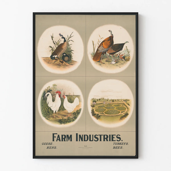 Vintage Industrial Agricultural Decorative Poster - Geese, Chickens, Turkeys, and Bees