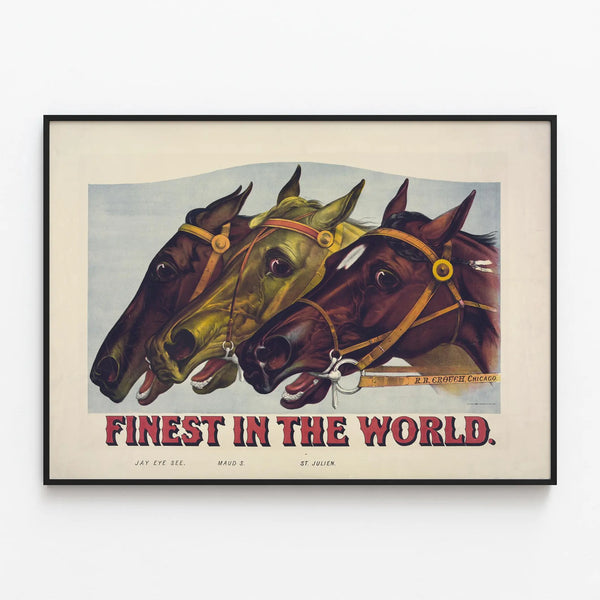 Vintage Equestrian Poster Horses Finest in the World — framed artwork on a wall