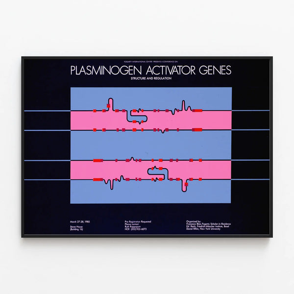 Scientific poster on the genes activating plasminogen — framed artwork on a wall