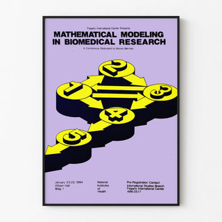 Decorative Poster of Mathematical Modeling in Biomedical Research