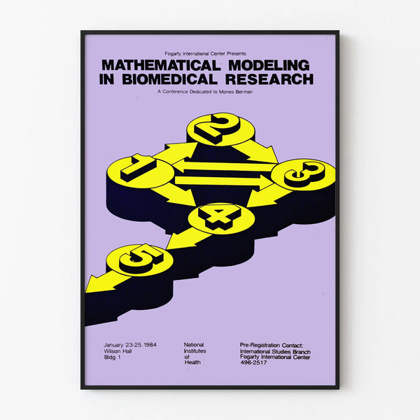 Decorative Poster of Mathematical Modeling in Biomedical Research