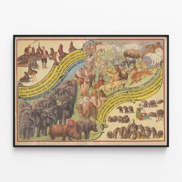 Vintage Animal Poster Forepaugh & Sells Brothers 1899 — framed artwork on a wall