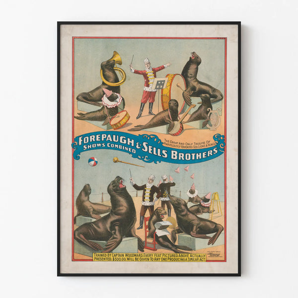 Vintage poster of a sea lion and otter troupe Forepaugh & Sells Brothers