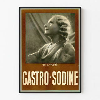 Vintage Poster Gastro-Sodine Health