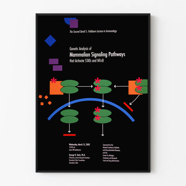 Scientific poster on mammalian signaling pathways activating STATs and NFκB