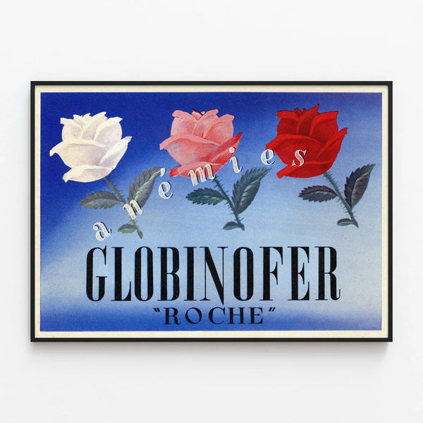 Vintage poster 'Annemies Globinofer Roche' with 3 colorful roses — framed artwork on a wall