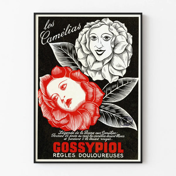 Vintage Poster Gossypiol - Wall Decoration The Camellias