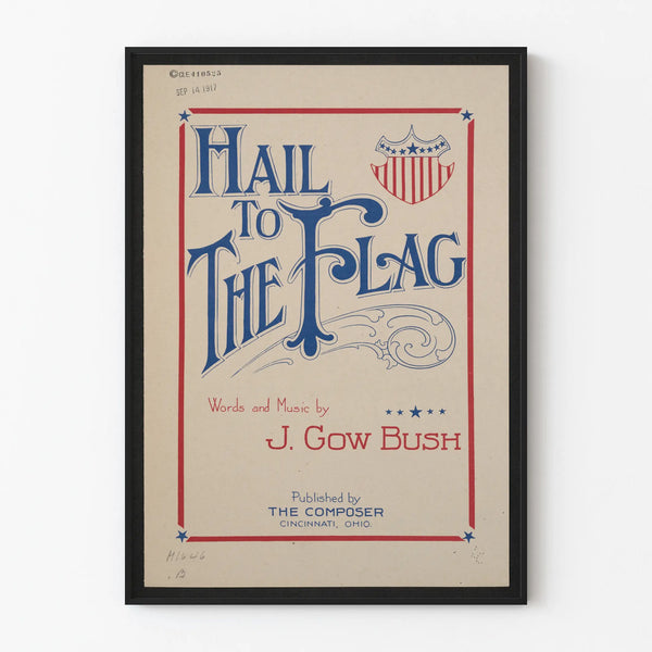 Vintage American patriotic poster Hail to the Flag