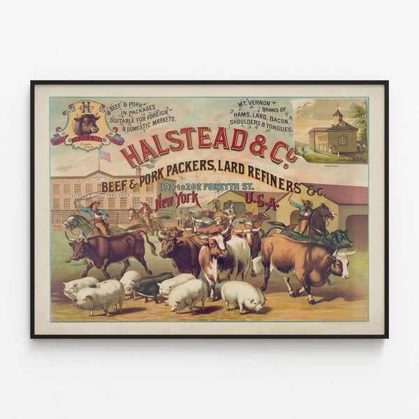 Vintage poster Halstead & Co. Beef & Pork Packers for wall decoration — framed artwork on a wall