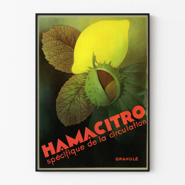 Vintage poster Hamacitro wall decoration fruit and nature