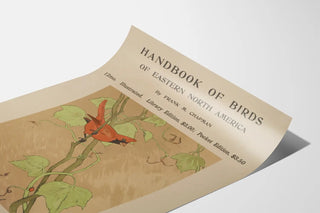Vintage poster of a cardinal bird – Handbook of Birds of Eastern North America