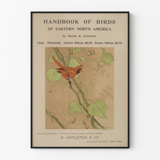 Vintage poster of a cardinal bird – Handbook of Birds of Eastern North America