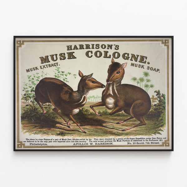 Vintage poster wall decoration Musk Cologne Harrison's — framed artwork on a wall