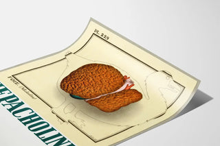 Vintage Medical Poster Hepatic Liver Illustration