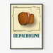 Vintage Medical Poster Hepatic Liver Illustration