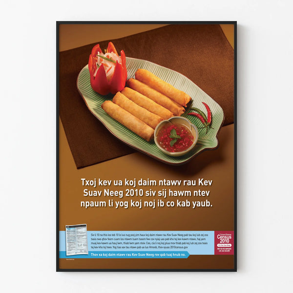 Vintage Advertising Poster Censorship 2010 Hmong
