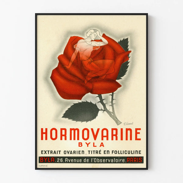 Vintage Hormovarine Byla Poster - Retro wall decoration with red rose