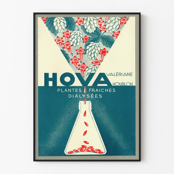 Vintage poster HOVA Freshly dialyzed plants - Botanical wall decoration