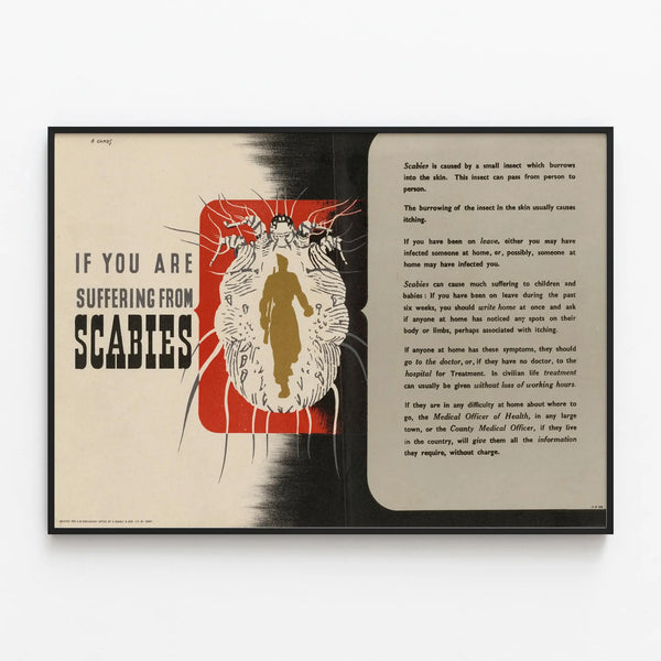 Vintage educational poster on scabies and its prevention — framed artwork on a wall