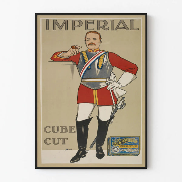 Vintage Poster Wall Decoration Imperial Cube Cut
