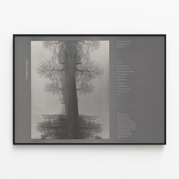 Artistic Poster Nature in Natural Light Artem Legrand — framed artwork on a wall