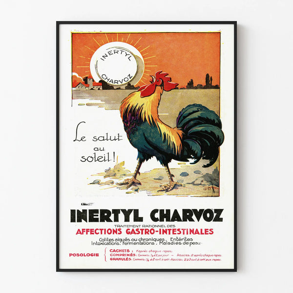 Vintage Poster Inertyl Charvoz - Gastrointestinal Wall Decoration