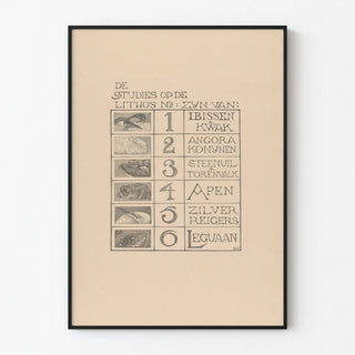 Illustrated Animal Studies Poster - Nature Wall Decoration