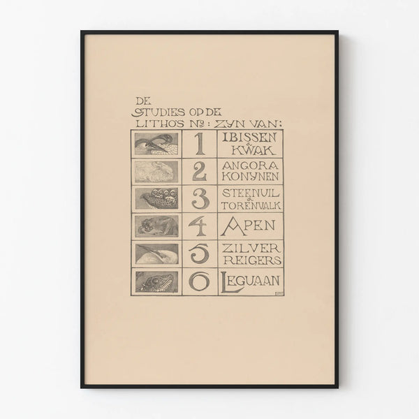 Illustrated Animal Studies Poster - Nature Wall Decoration