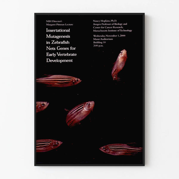 Scientific decorative poster with zebrafish and text on mutagenesis
